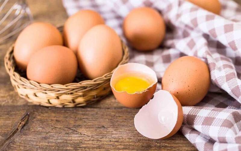 آیا تخم‌مرغ برای حافظه مفید است؟