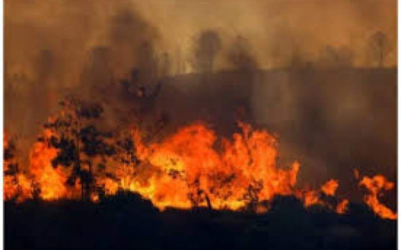 تصاویری تازه از آتش‌سوزی جنگل‌ها در ترکیه