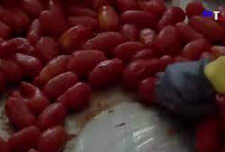 فرآیند ساخت سس گوجه در یک کارخانه مدرن