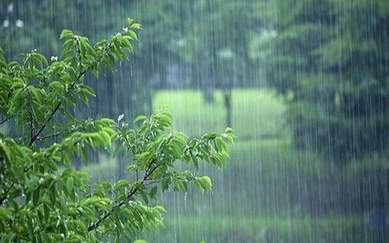 بارش شدید باران  در ۵ استان کشور