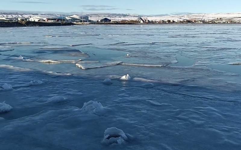 یخ زدن اقیانوس در جنوب شیلی /فیلم