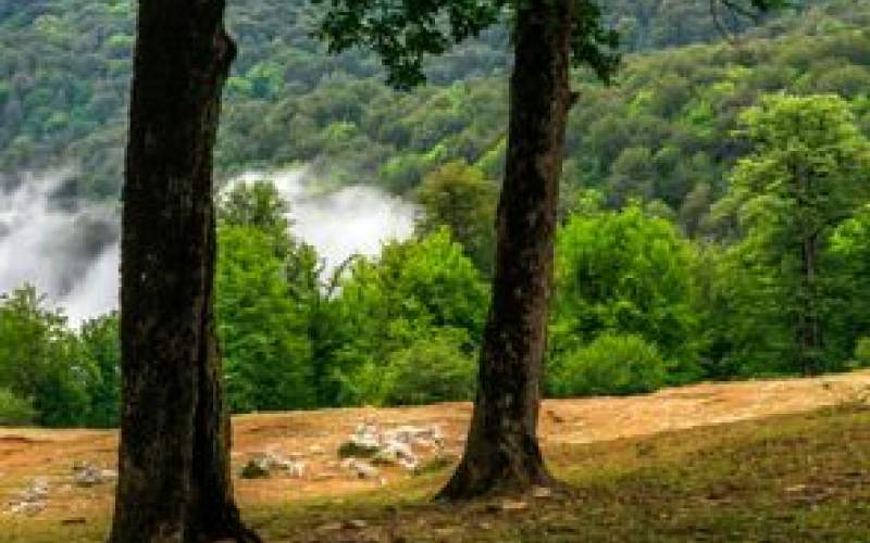 عکس‌های چشم نواز از بهشت نگارستان ایران