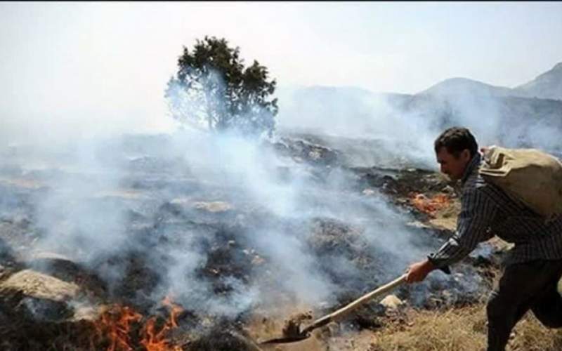 خاکستر شدن ۲۶۰۰ هکتار از جنگل‌های لرستان