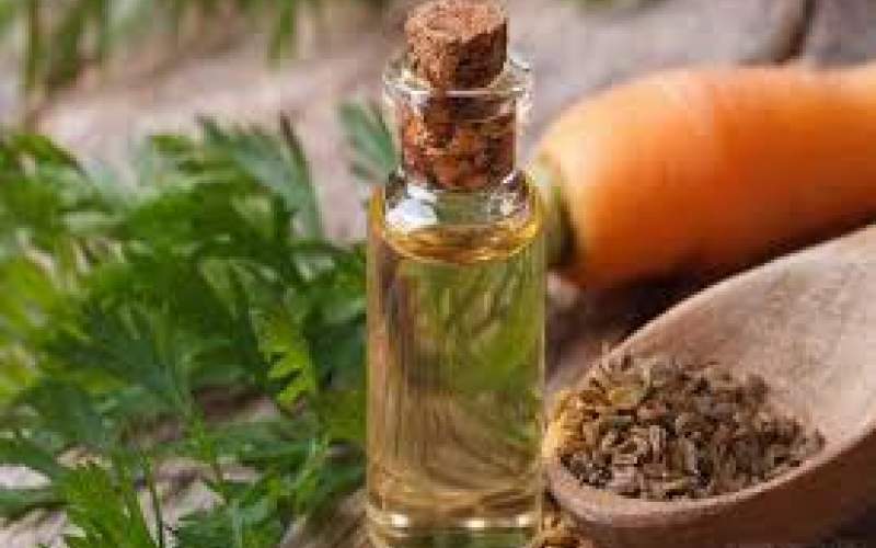 فواید روغن هویج برای پرپشت شدن موها