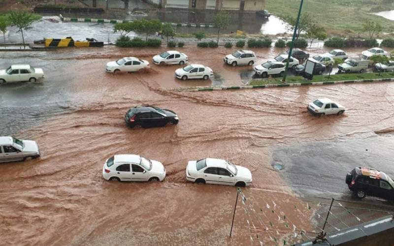 بارش باران و وزش شدید باد در مشهد