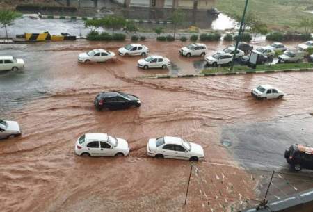 بارش باران و وزش شدید باد در مشهد