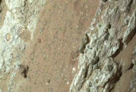 کشف نشانه احتمالی حیات باستانی در مریخ