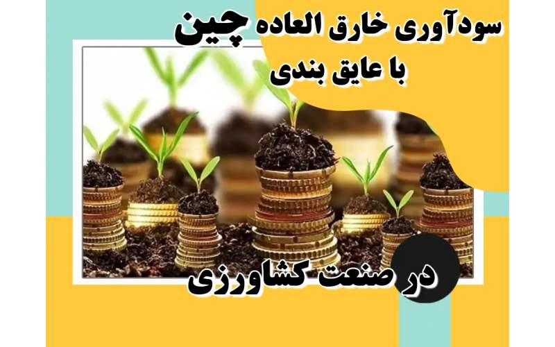 سودآوری خارق العاده چین با عایق بندی در صنعت کشاورزی