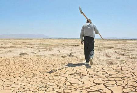 این اقدام افغانستانی‌ها سبب خشک شدن هامون شده