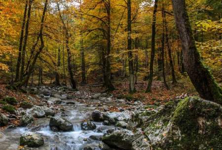 پاییز‌منطقه کوهستانی فریم صحرا در مازندران  <img src="https://cdn.baharnews.ir/images/picture_icon.gif" width="16" height="13" border="0" align="top">