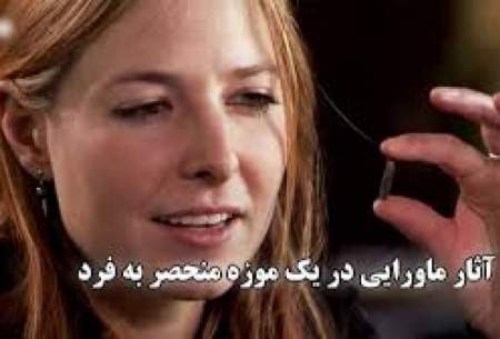 کشف مجموعه پر رمز و راز اشیاء تاریخی در موزه هرمیتاژ