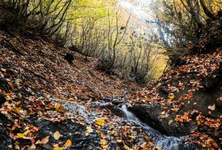 زیبایی مسحورکننده گردنه حیران در پاییز  <img src="https://cdn.baharnews.ir/images/picture_icon.gif" width="16" height="13" border="0" align="top">