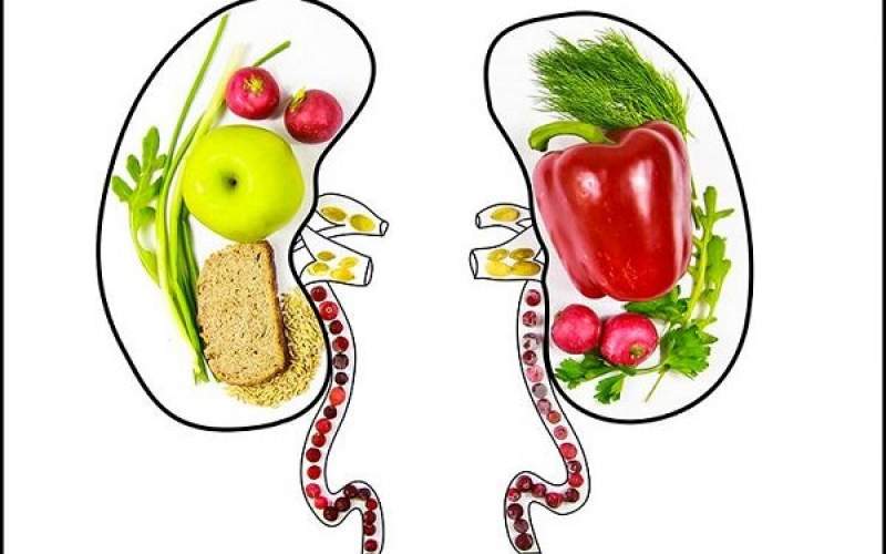 کلید مدیریت بهتر بیماری‌های کلیوی