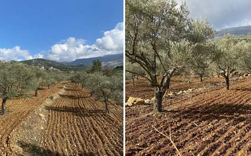  تبعات زیست محیطی جنگ برای ملت لبنان 