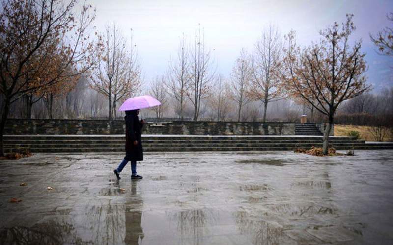 آغاز باران زمستانی در تهران /فیلم