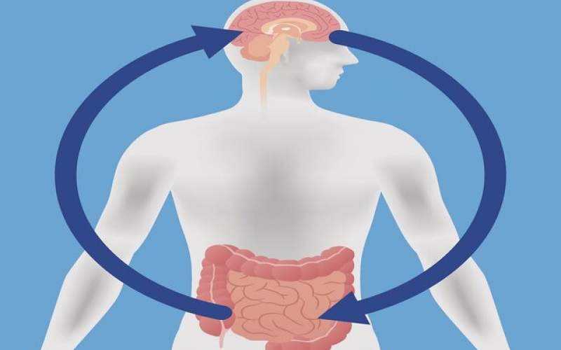 بزرگتر شدن مغز با فعالیت غیر عادی روده