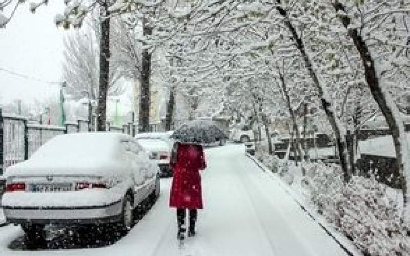 تصویری تماشایی از برف تهران که دل همه را برد