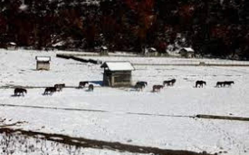 هشدار طوفان زمستانی در آمریکا