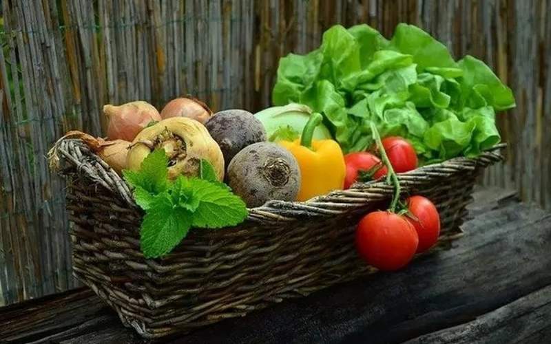 آیا‌غذاهای اصلاح ژنتیکی شده خطرناک هستند؟