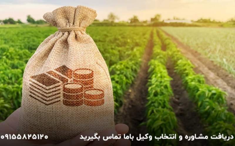 نکات مهم قرارداد اجاره زمین کشاورزی را چطور بنویسیم؟