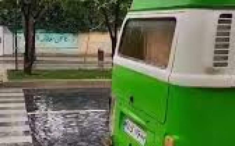 ویدئویی از شیراز که این روزها قطعه‌ای از بهشت است