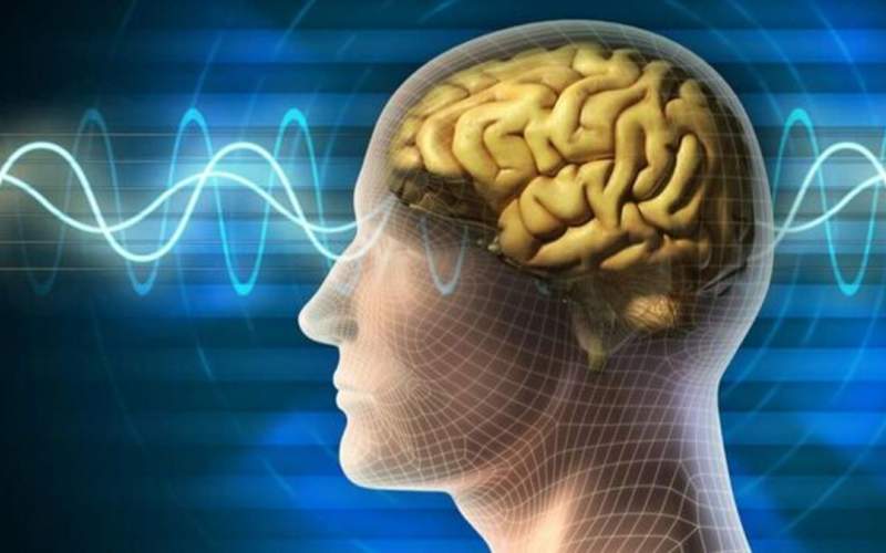 با ۱۰حقیقت جالب درباره حافظه اشنا شوید