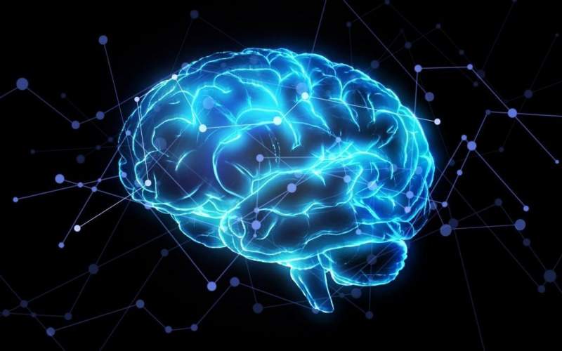 درمان آلزایمر با تقویت سلول‌های ایمنی مغز