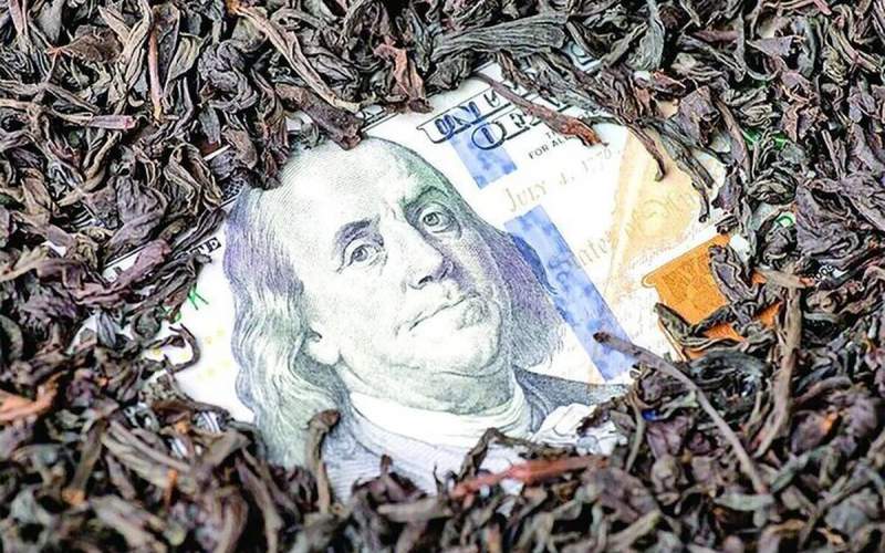 با دلار‌ها در دبی و اسپانیا برج و ویلا خریدند!