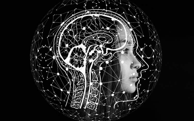 آیا می‌توان مغز را برای بهبود حافظه تمرین داد؟
