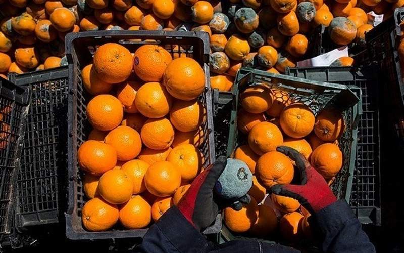 میوه شب عید تا ۱۵۰درصد گران شد!