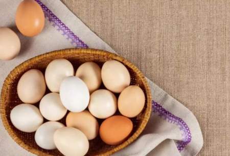 چگونه از سلامت تخم مرغ‌ها مطمئن شویم؟