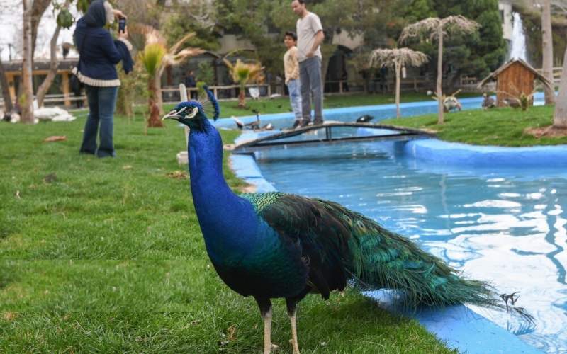 باغ پرندگان اصفهان میزبان مسافران نوروزی  