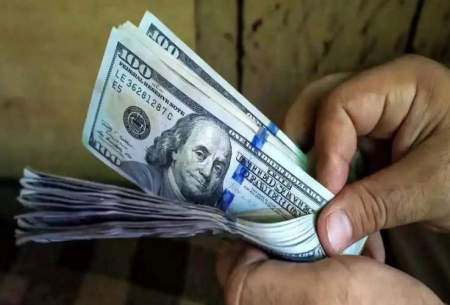 وضعیت امروز بازار دلار حاصل مدیریت غلط فرزین است
