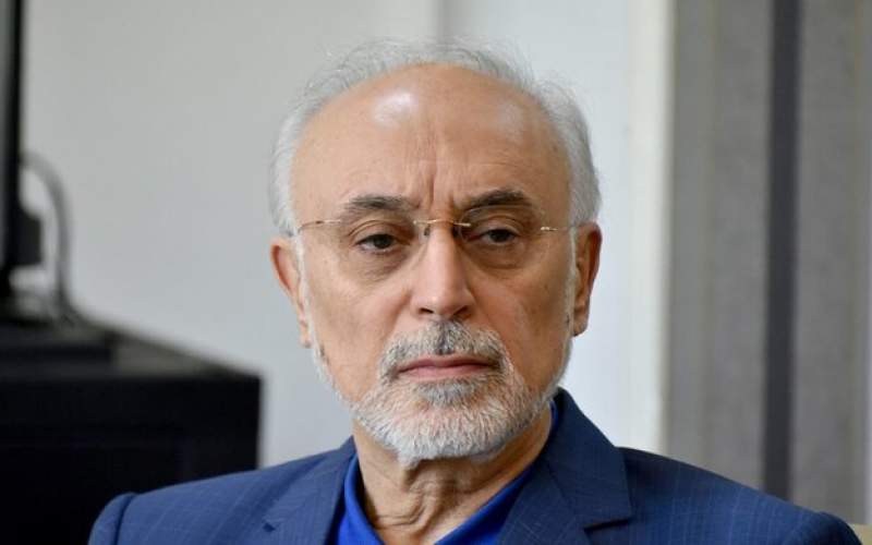 ابراز امیدواری علی اکبر صالحی نسبت به نتایج مذاکرات عمان