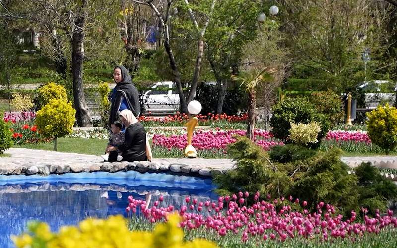 باغ گل‌های لاله در اراک /فیلم