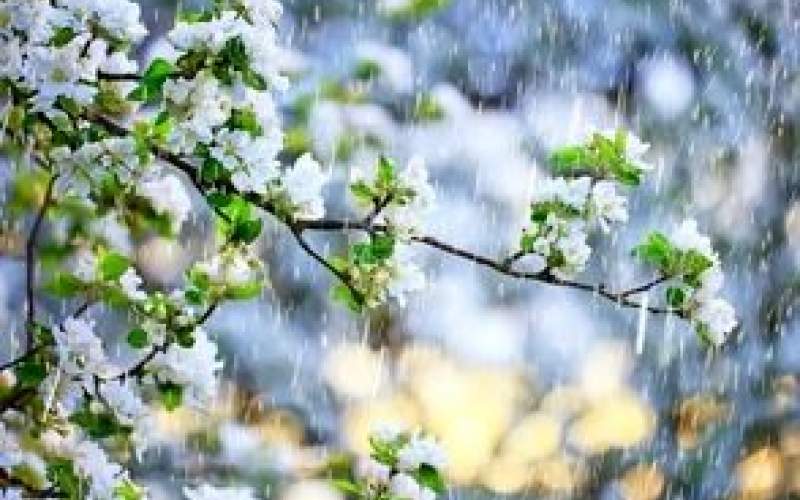 اردبیل میزبان شدیدترین باران و تگرگ بهاری شد