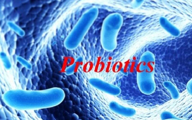 چگونه پروبیوتیک بیشتری دریافت کنیم؟
