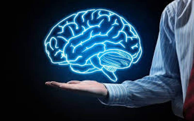 این گروه حجم مغز کمتری دارند