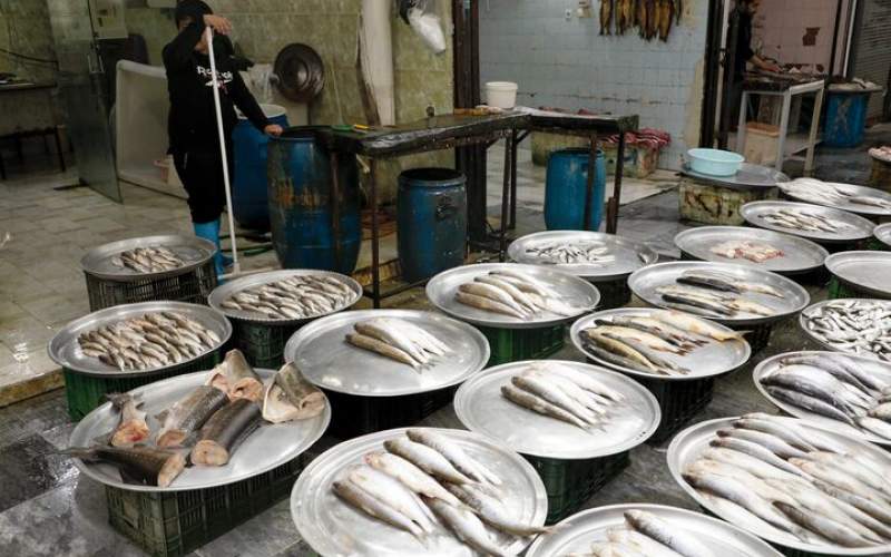 قیمت انواع ماهی ۲۵ فروردین/جدول