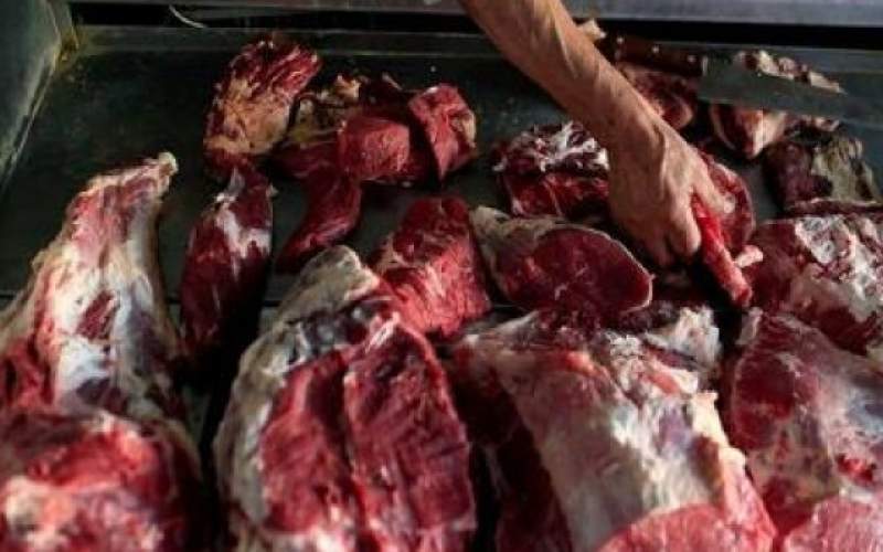 ویدئویی هولناک از کشف انبار مخفی گوشت سگ