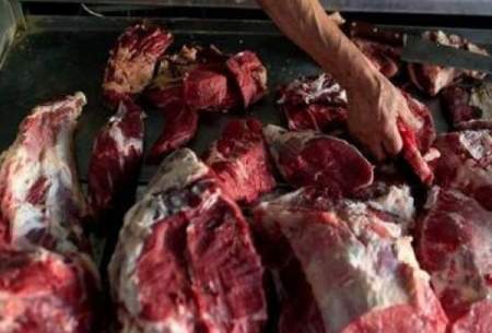 ویدئویی هولناک از کشف انبار مخفی گوشت سگ
