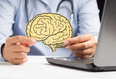 ۶ خوراکی برای زنده کردن مغز را بشناسید