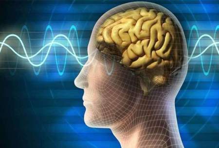 چگونه استرس مغز ما را تغییر می‌دهد؟