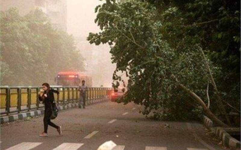 آمار مصدومان طوفان شب گذشته در تهران اعلام شد