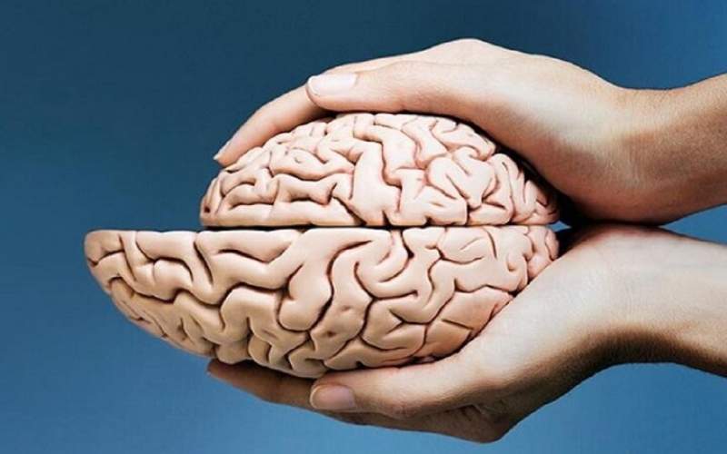 برطرف‌‌نشدن‌نیازهای‌مغز‌چه تاثیری‌روی‌ما می‌گذارد؟