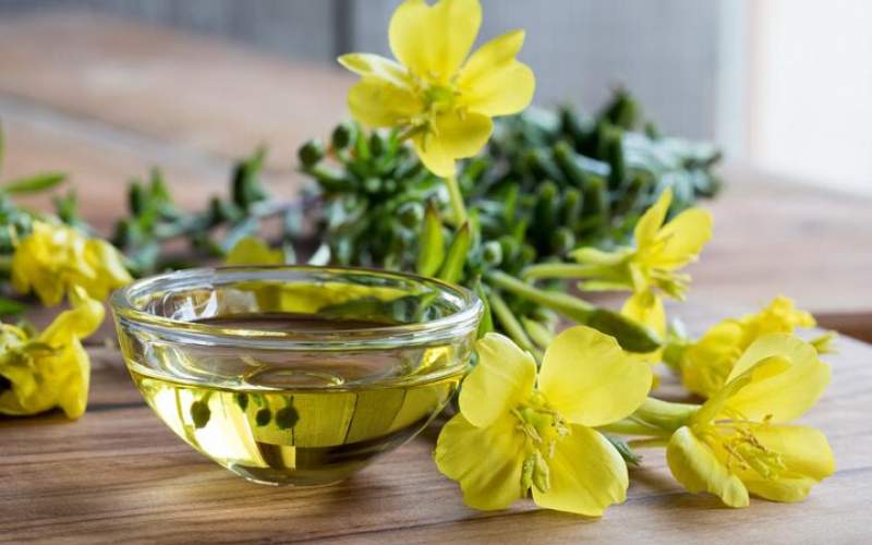 روغن گل مغربی چه فایده‌ای دارد؟