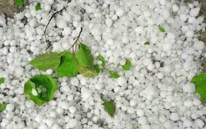بارش سیل آسای تگرگ روستای بیاندره در بانه