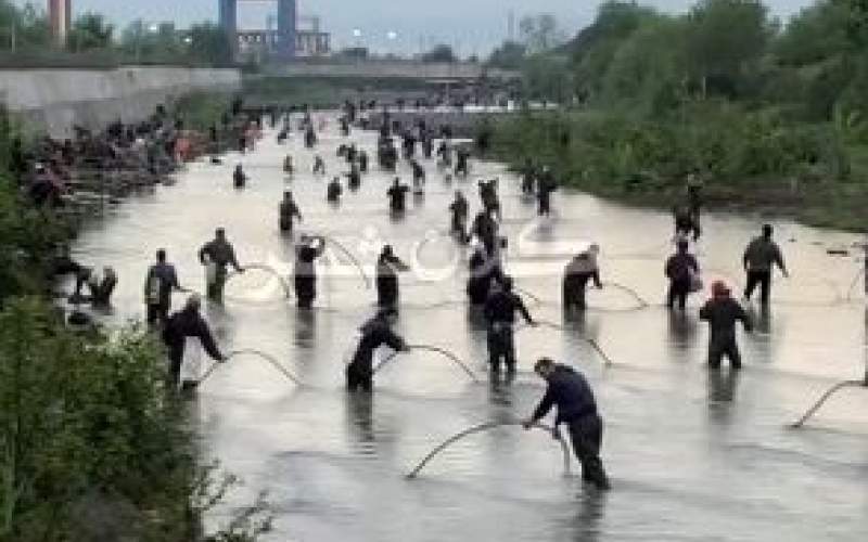 هجوم عجیب برای صید ماهی در رودخانه آستاراچای