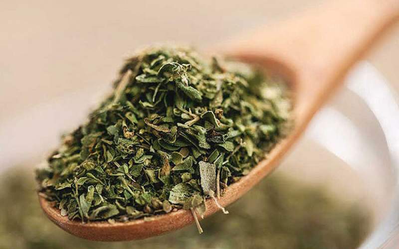 فواید و خطرات روغن پونه کوهی برای بدن