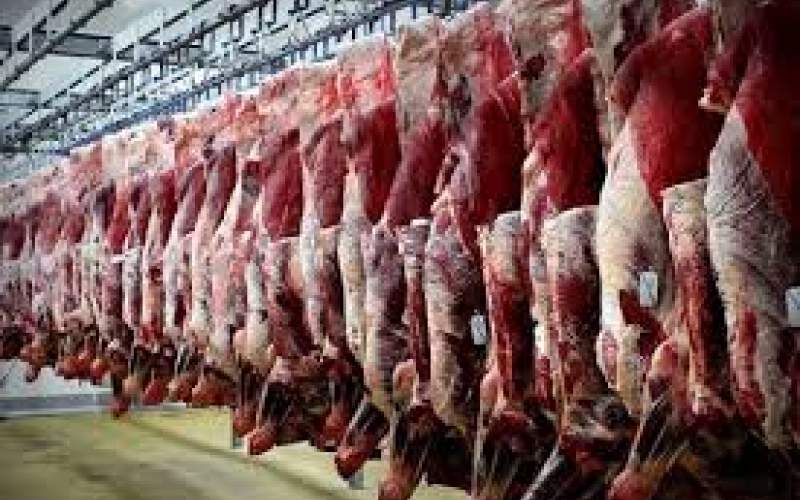 خشکسالی در کمین تولید گوشت قرمز